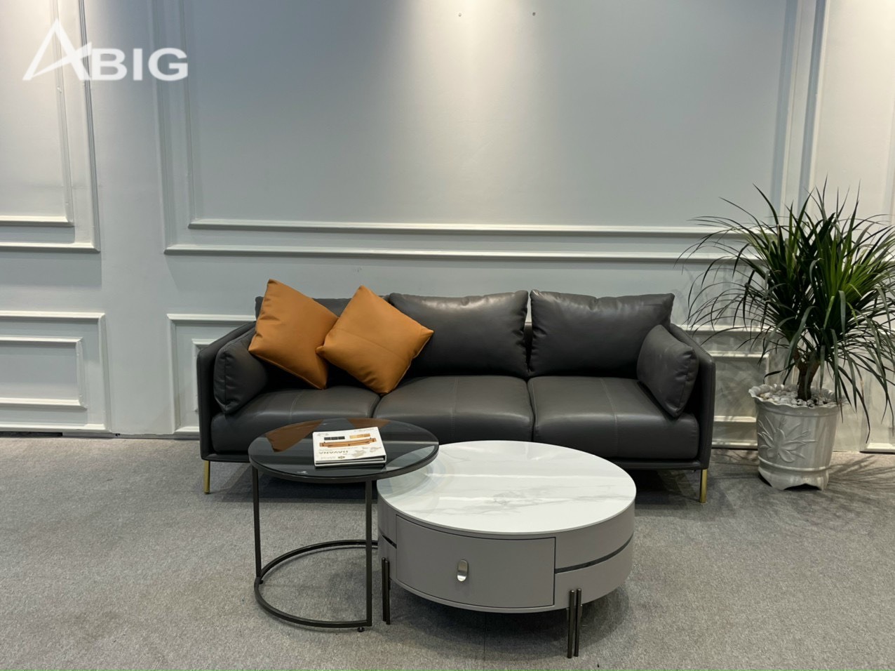 Ghế sofa băng phòng khách đơn giản S22 Ghế sofa băng phòng khách đơn giản S22 - hình ảnh tổng thể