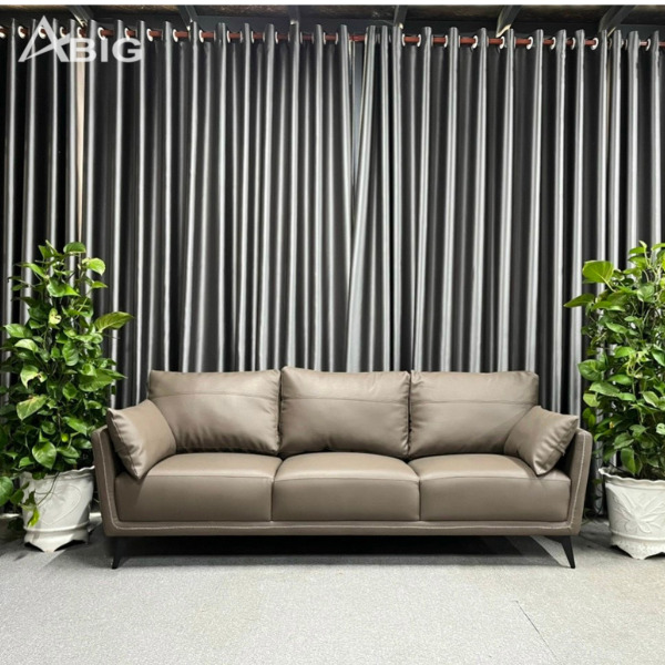 Hình ảnh tổng thể Ghế sofa băng phòng khách hiện đại S65 Hình ảnh tổng thể Ghế sofa băng phòng khách hiện đại S65