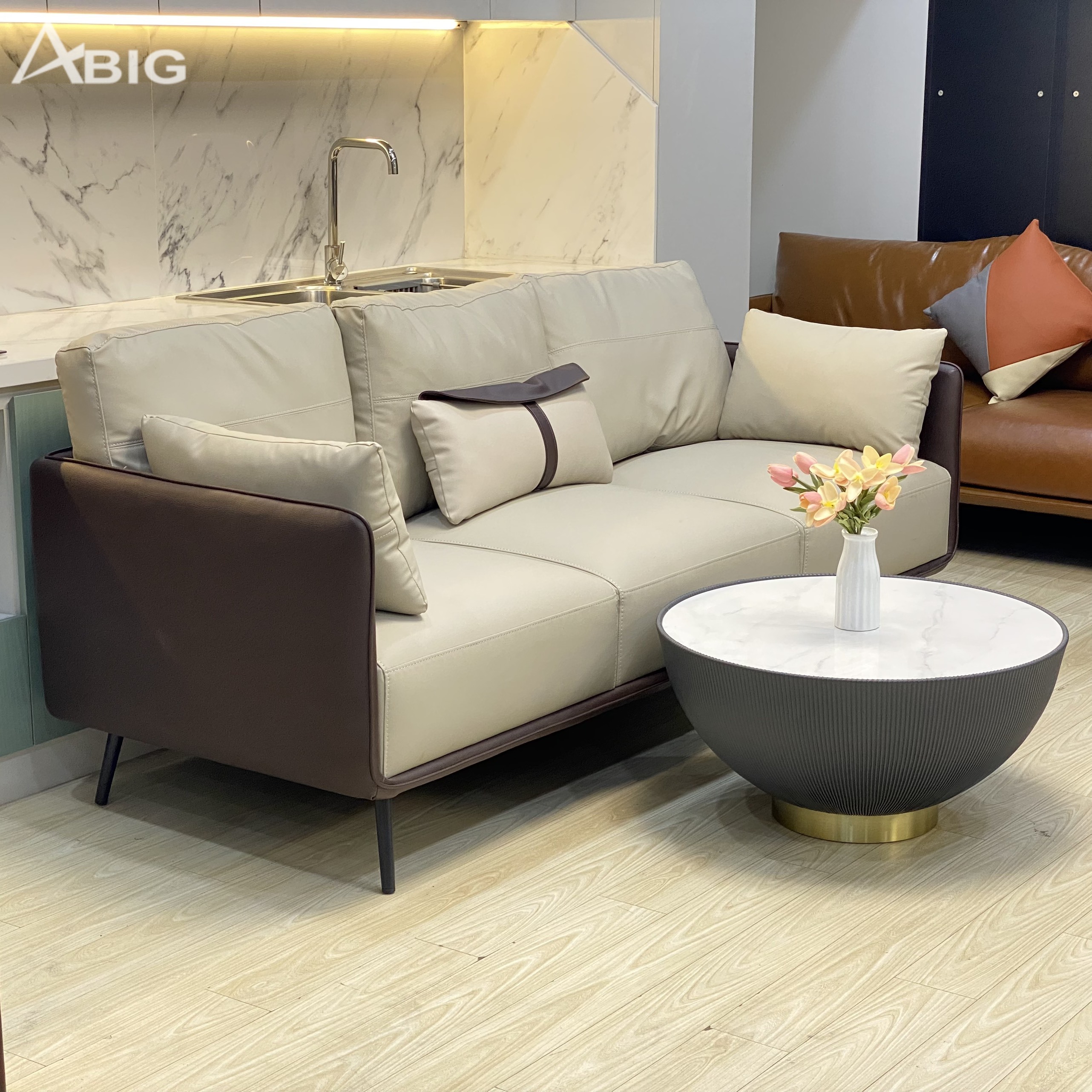 Sofa phòng khách bọc da đẹp S66 Sofa phòng khách bọc da đẹp S66 - hình ảnh tổng thể